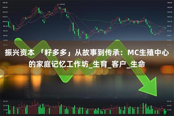 振兴资本 「籽多多」从故事到传承：MC生殖中心的家庭记忆工作坊_生育_客户_生命