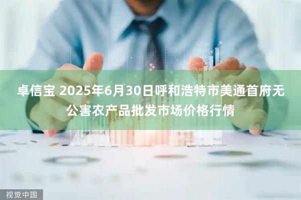卓信宝 2025年6月30日呼和浩特市美通首府无公害农产品批发市场价格行情
