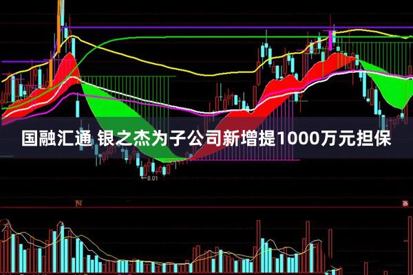 国融汇通 银之杰为子公司新增提1000万元担保