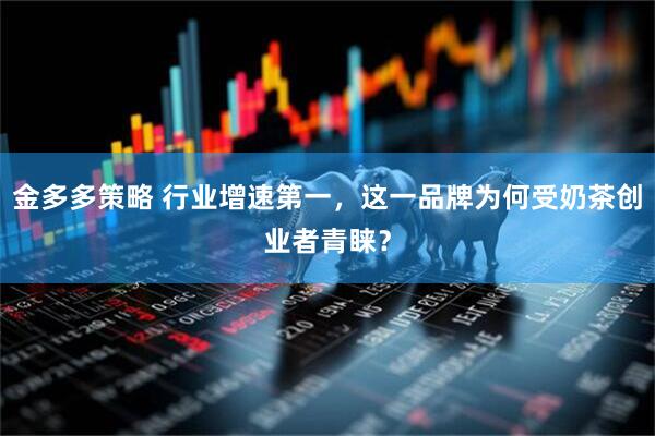 金多多策略 行业增速第一，这一品牌为何受奶茶创业者青睐？