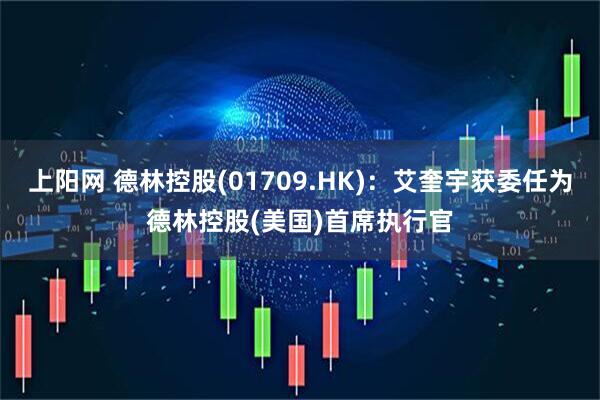 上阳网 德林控股(01709.HK)：艾奎宇获委任为德林控股(美国)首席执行官
