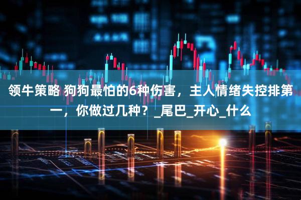 领牛策略 狗狗最怕的6种伤害，主人情绪失控排第一，你做过几种？_尾巴_开心_什么