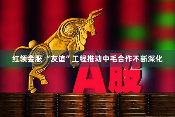 红领金服 “友谊”工程推动中毛合作不断深化
